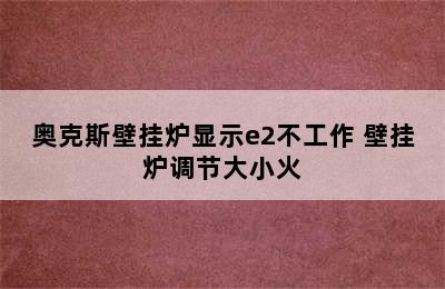 奥克斯壁挂炉显示e2不工作 壁挂炉调节大小火